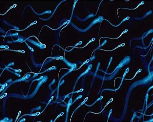 助孕婴儿几个月开始好带：足月与早产差异解析