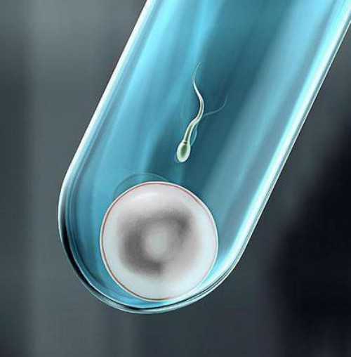 代怀医院试管婴儿费用解析与助孕指南