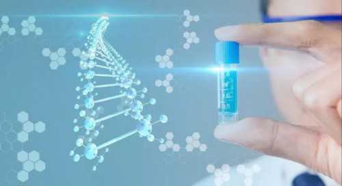赴泰代生选性别优势解析：技术利弊与健康保障