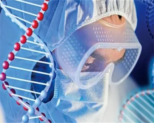 浙江供卵试管与代怀服务：浙江省妇保与杭州市妇保选择指南及高龄试管经验分享