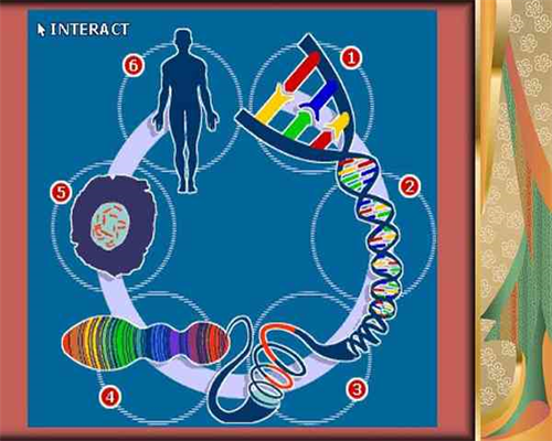 哪些人群适合泰国试管婴儿助孕及选择医院指南