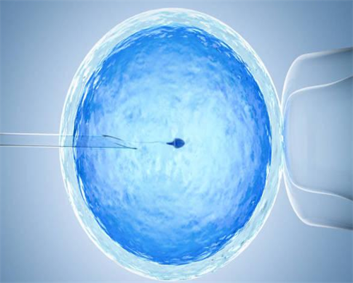 浙江合法试管代怀服务:浙江省妇保与杭州市妇保试管婴儿选择指南