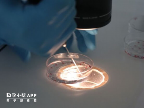 杭州代怀妈妈咨询:试管婴儿费用解析与助孕指南