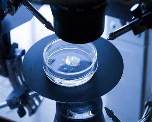 2026浙江供卵试管助孕费用预估与申请条件详解