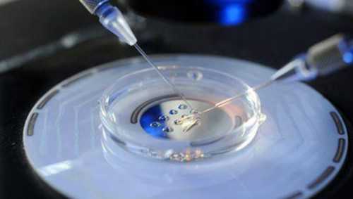 浙江试管婴儿医院选择指南与代孕服务解析