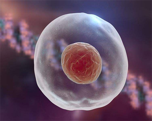 广州试管婴儿周期时长解析：一个试管周期需要多久时间？