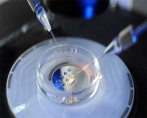 代孕成功率与亲子鉴定权威机构选择指南