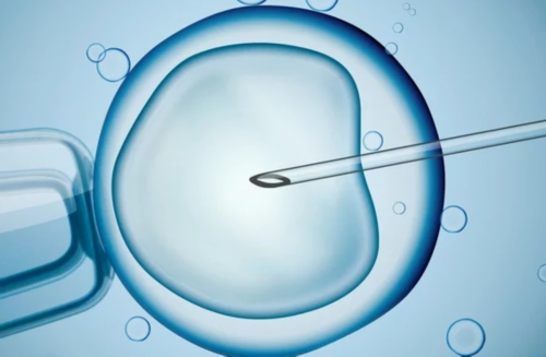 2026浙江第三代试管婴儿医院选择指南：嘉兴与杭州对比分析