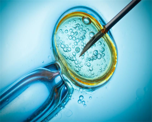 2026年郑州私立供卵机构最新动态及三代生男孩费用解析