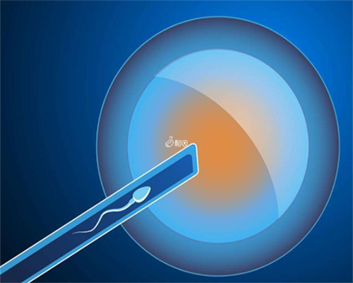 哪里寻找正规助孕服务与捐卵机构排名指南
