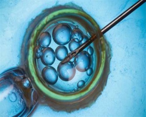 2026浙江供精试管医院选择与高龄助孕成功率解析