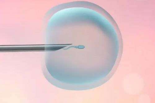 婴儿呕吐原因与应对指南:预防与处理策略