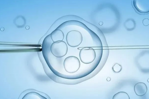 2026年双角子宫患者试管成功率医院排名及费用解析