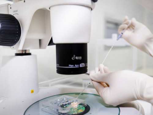 2026浙江第三代试管婴儿医院选择指南：嘉兴妇保院与邵逸夫对比