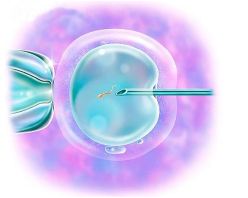 杭州三甲供卵医院与三代试管婴儿成功率及费用解析