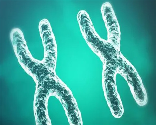 2026北京三代试管助孕生男孩费用解析及机构选择指南