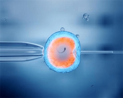 西安三代试管助孕机构选择与成功率解析