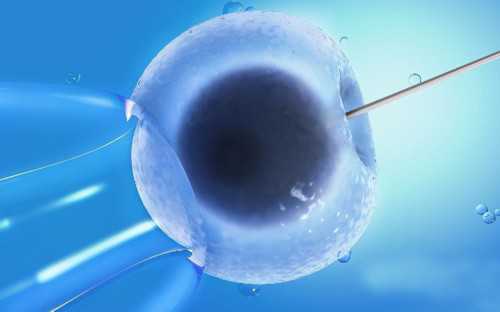 杭州代怀服务价格解析与机构筛选指南，25万起如何明智选择