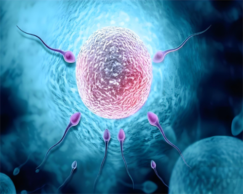 2026浙江第三代试管婴儿医院选择与供卵移植指南