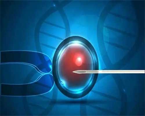 浙江代怀孕服务与试管婴儿专家指南