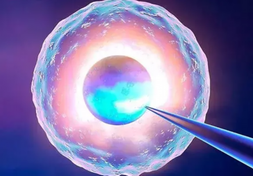 2026浙江代怀试管医院排名与成功率解析,杭州邵逸夫医院是否最佳选择?