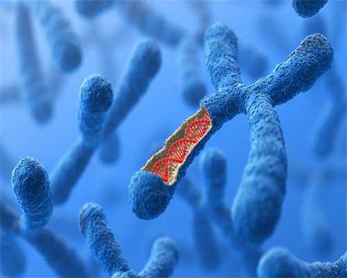 泰国第三代试管婴儿卵子离体储存与成功率解析