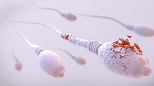 2026年广州试管婴儿流程详解与高龄二胎生育指南