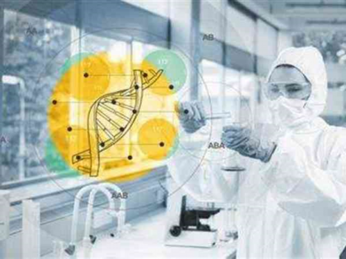 杭州代怀公司流程与试管婴儿费用详解，一般44397元