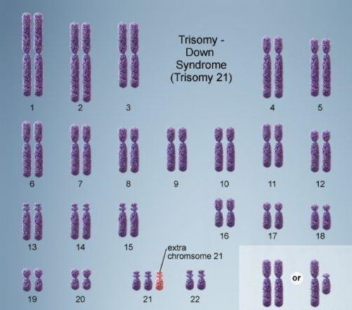 广州助孕婴儿湿疹快速消除指南与代怀服务关联