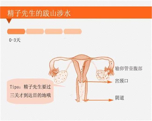 广州代孕哪里好,孕期做梦是巧合别大意，这些胎
