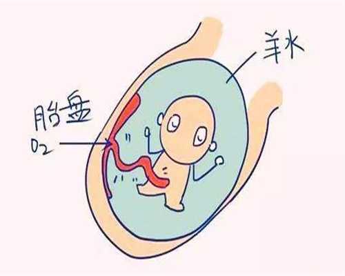 广州人工受孕成功率,怀孕后，这3种食物平时要“