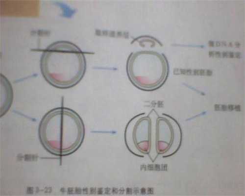 广州代孕广东代孕,好胎儿怀孕20周到30周注意以下