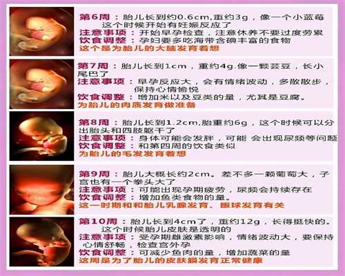 广州助孕包性别_广州哪里有代怀孕公司_怀孕吃橙