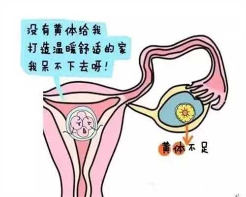 广州专业代孕多少钱_广州精因宝贝_润佳乐怀孕能