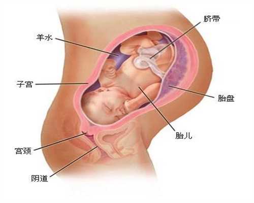 广州正规代孕_胎儿头大是什么原因
