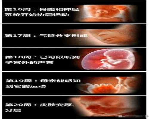 广州代孕流程_孕妇能吃五香驴肉吗