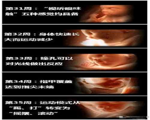 广州代孕医院哪个医院好_孕34周胎儿发育标准