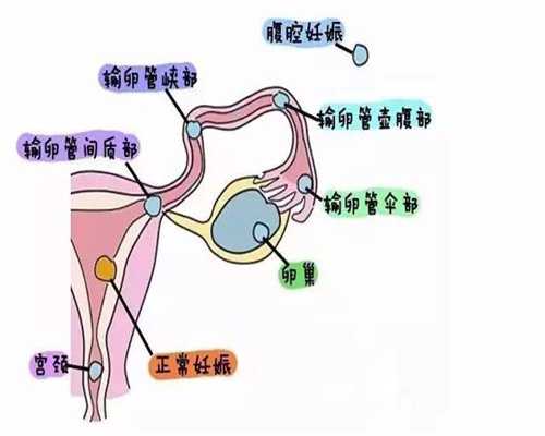 广州代孕正规机构_孕妇应慎重使用外用药
