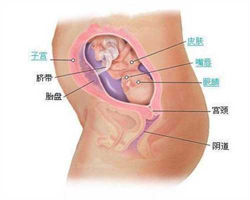 广州代孕医院一般多少钱_准妈妈如何应对各种家
