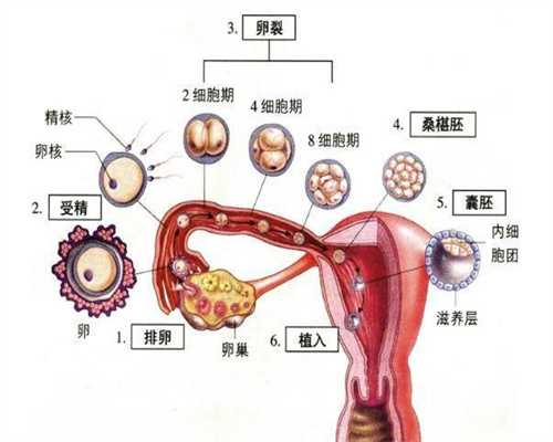 广州代孕医院排名_未来准爸爸也要做孕前检查