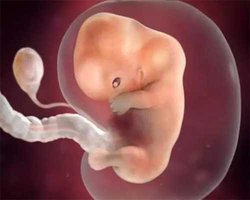 广州代孕包儿子_医学方法判断胎儿的性别