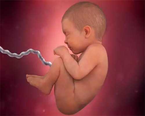 广州代孕包儿子_医学方法判断胎儿的性别