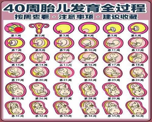 广州合法供卵试管中心_孕11周什么原因会出血
