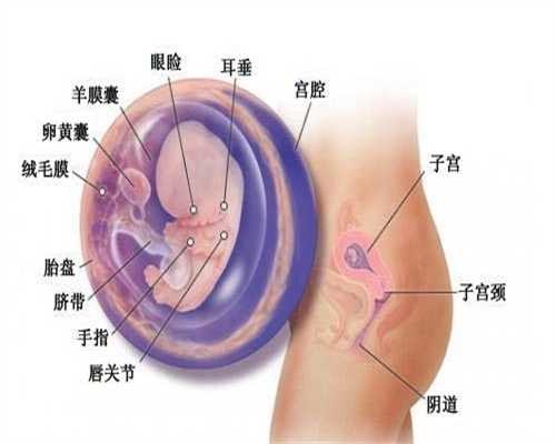 广州代孕宝宝_怀孕4个月铁蛋白44.59正常吗