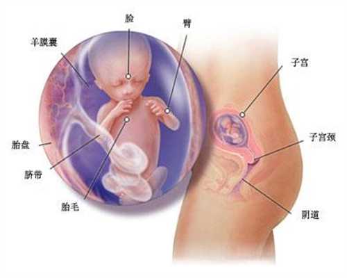 广州代孕入户口_刚怀孕一个月血压140怎么办