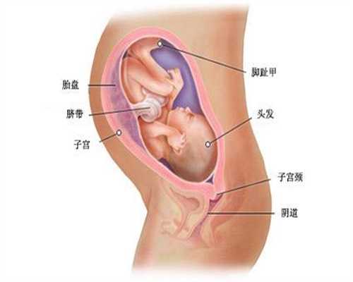 广州大的代孕公司_妊娠高血压综合症是什么病