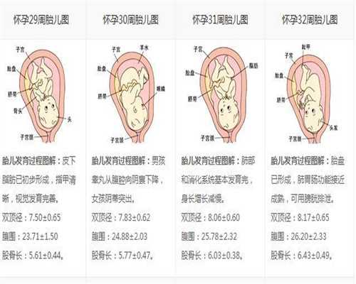 广州代孕妈妈哪里有-广州个人家庭找代孕妈妈【一流的代孕团队，因为专业所