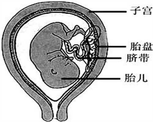 广州代孕的法律依据,广州哪里招代孕妈妈【权威代孕奇迹，爱心演绎华章】