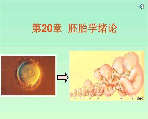 广州代孕双胞胎,广州做代孕医院,广州最好的代孕医院