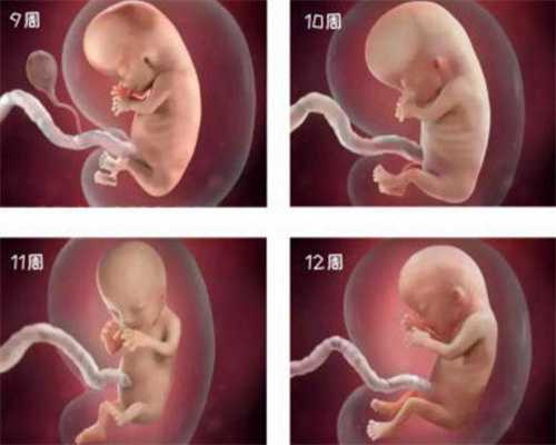 代孕网哪家好_试管婴儿和代孕区别_孕期增重20斤宝宝多大